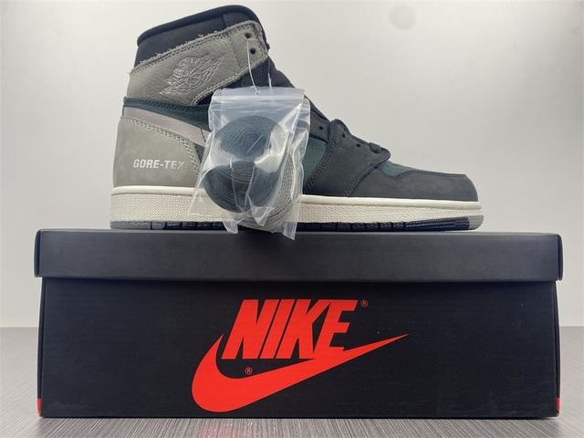 Air Jordan 1 Element Gore-Tex